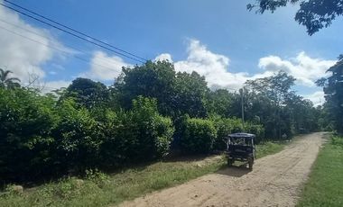 VENDO TERRENO Distrito Las Palmas - La Banda De Shilcayo / Tarapoto