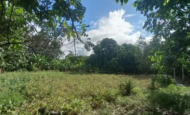 VENDO TERRENO Distrito Las Palmas - La Banda De Shilcayo / Tarapoto