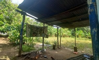 VENDO TERRENO Distrito Las Palmas - La Banda De Shilcayo / Tarapoto