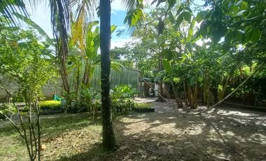 VENDO TERRENO Distrito Las Palmas - La Banda De Shilcayo / Tarapoto