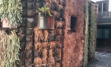 Oportunidad venta oficinas Parque Hundido