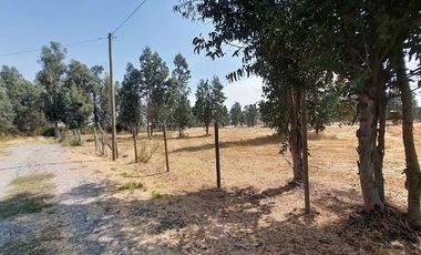 Vende Parcela Km 10 a Coihueco