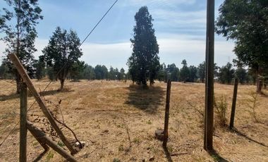 Vende Parcela Km 10 a Coihueco