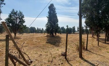 Vende Parcela Km 10 a Coihueco