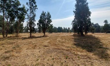 Vende Parcela Km 10 a Coihueco