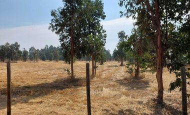 Vende Parcela Km 10 a Coihueco