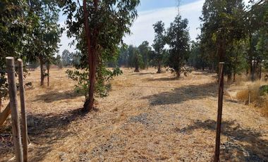 Vende Parcela Km 10 a Coihueco
