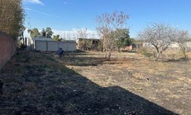 VENTA DE TERRENO EN EMILIANO ZAPATA