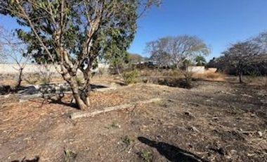 VENTA DE TERRENO EN EMILIANO ZAPATA