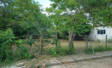 TERRENO EN VENTA, COLONIA SAN ROMAN, HUEJUTLA, HGO.