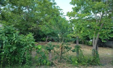 TERRENO EN VENTA, COLONIA SAN ROMAN, HUEJUTLA, HGO.