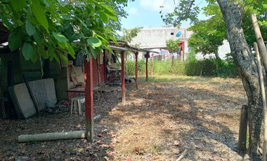 TERRENO EN VENTA, COLONIA SAN ROMAN, HUEJUTLA, HGO.