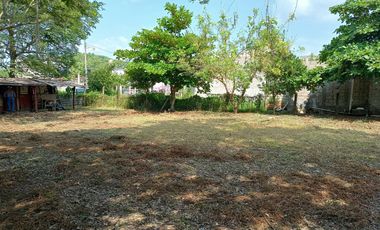 TERRENO EN VENTA, COLONIA SAN ROMAN, HUEJUTLA, HGO.