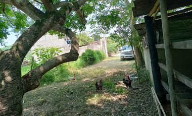 TERRENO EN VENTA, COLONIA SAN ROMAN, HUEJUTLA, HGO.