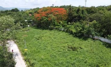 Beautiful 795.4 Sq. Wah Land Located Close to Four Seasons Resort in Rim Tai, Mae Rim, Chiang Mai