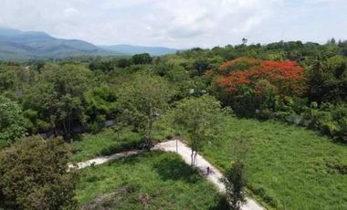Beautiful 795.4 Sq. Wah Land Located Close to Four Seasons Resort in Rim Tai, Mae Rim, Chiang Mai