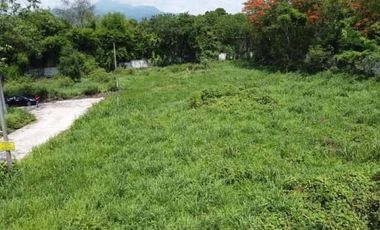 Beautiful 795.4 Sq. Wah Land Located Close to Four Seasons Resort in Rim Tai, Mae Rim, Chiang Mai