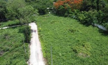Beautiful 795.4 Sq. Wah Land Located Close to Four Seasons Resort in Rim Tai, Mae Rim, Chiang Mai