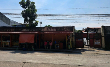 1,392 sqm Lot in Dahlia Avenue Fairview, Quezon City