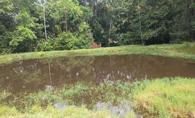 VENTA FINCA VEREDA SANTA PAULA SAN MARTIN CESAR