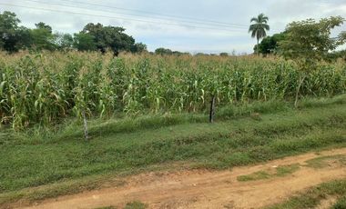 VENTA FINCA VEREDA SANTA PAULA SAN MARTIN CESAR