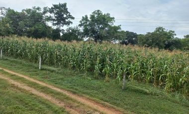 VENTA FINCA VEREDA SANTA PAULA SAN MARTIN CESAR