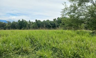 VENTA FINCA VEREDA SANTA PAULA SAN MARTIN CESAR