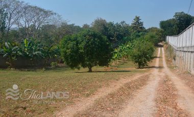 BEAUTIFUL 4 RAI LOT WITH 3 BED / 2 BATH HOUSE AND 30 METERS OF RIVERFRONT JUST 10 MINUTES FROM DOWNTOWN!!!