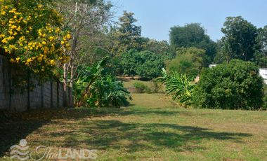 BEAUTIFUL 4 RAI LOT WITH 3 BED / 2 BATH HOUSE AND 30 METERS OF RIVERFRONT JUST 10 MINUTES FROM DOWNTOWN!!!