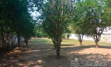 BEAUTIFUL 4 RAI LOT WITH 3 BED / 2 BATH HOUSE AND 30 METERS OF RIVERFRONT JUST 10 MINUTES FROM DOWNTOWN!!!