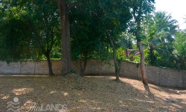 BEAUTIFUL 4 RAI LOT WITH 3 BED / 2 BATH HOUSE AND 30 METERS OF RIVERFRONT JUST 10 MINUTES FROM DOWNTOWN!!!