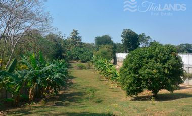BEAUTIFUL 4 RAI LOT WITH 3 BED / 2 BATH HOUSE AND 30 METERS OF RIVERFRONT JUST 10 MINUTES FROM DOWNTOWN!!!