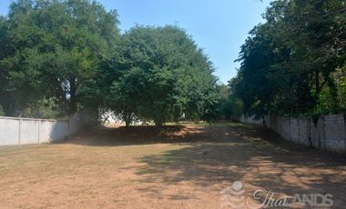 BEAUTIFUL 4 RAI LOT WITH 3 BED / 2 BATH HOUSE AND 30 METERS OF RIVERFRONT JUST 10 MINUTES FROM DOWNTOWN!!!