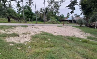 For Sale Residential Lots in Valladolid, Carcar City, Cebu