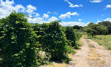 Terreno en venta en Catamayo
