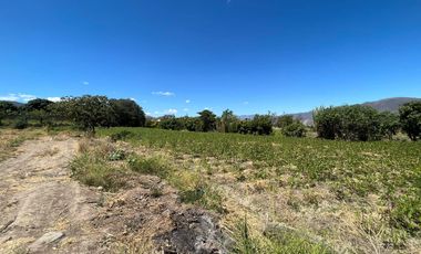 Terreno en venta en Catamayo