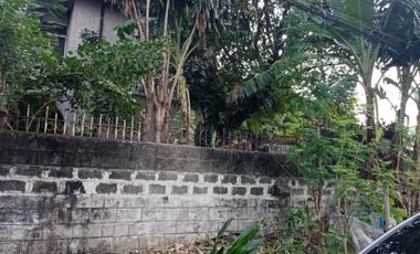 250 sqm Residential Lot for sale in Bahay Toro, Project 8, Quezon City near S&R Shopping