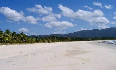 For Sale Beach Front Agricultural Lot in San Vicente, Palawan