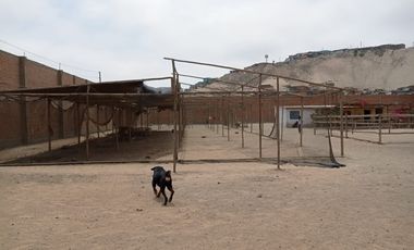 Vendo Terreno Industrial en Nestor Gambeta, VENTANILLA 1712 Mts2