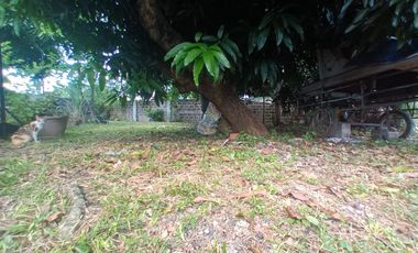 Lot 28 Block 3, Pietrasanta St., Vicenza 4, Citta Italia Subd., Brgy. Mambog, Bacoor, Cavite