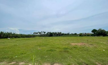 10 hectare property in balamban along the highway
