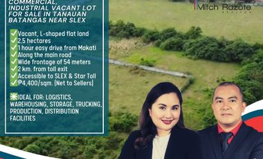 Prime 2.5 Hectare Commercial, Industrial Vacant Lot for Sale in Tanauan, Batangas near Toll Exit and SLEX
