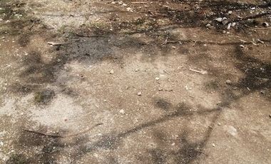 TERRENO EN VENTA EN YAUTEPEC, MORELOS.