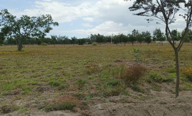 Venta de Terreno en Malchingui