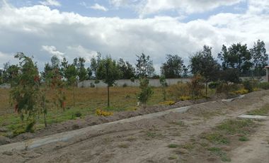 Venta de Terreno en Malchingui