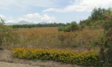 Venta de Terreno en Malchingui