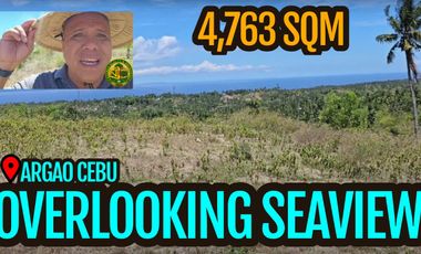 Overlooking Seaview Lot For Sale In Argao Cebu 4,763 sqm Php 2.8M Negotiable