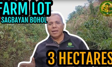Farm Lot Sagbayan Bohol 3 Hectares 120/sqm