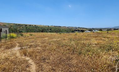 Concón, Parcela 1000 m2, ROL PROPIO, Venta sólo Contado