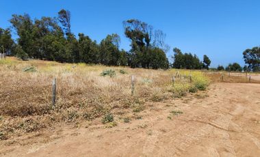 Concón, Parcela 1000 m2, ROL PROPIO, Venta sólo Contado